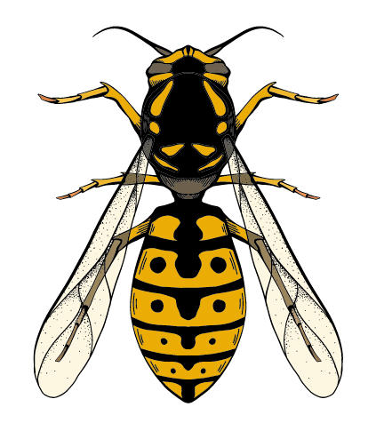 Farnham Pest Control